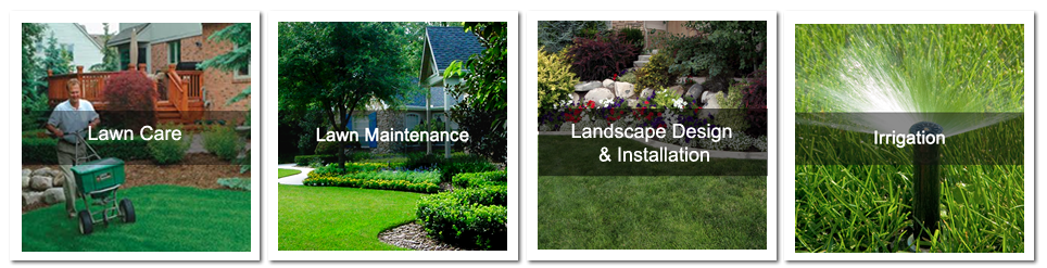 Ivy Green Lawn Care Service, Landscape Maintenance Services Malaysia
